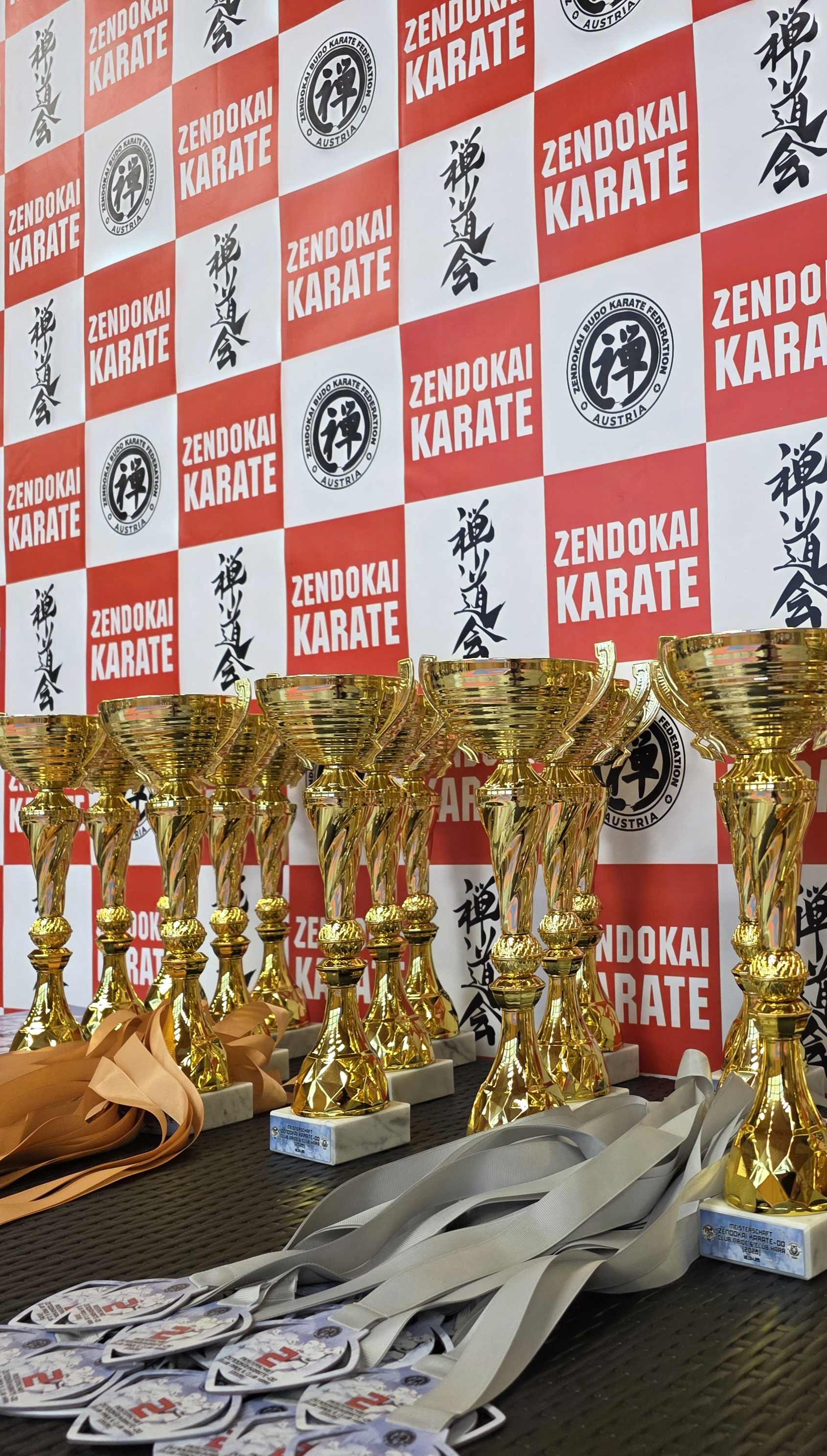 Meisterschaft im Zendokai Karate-Do: Vereine „Pride“ und „Hara“ (Allkampf) 2026