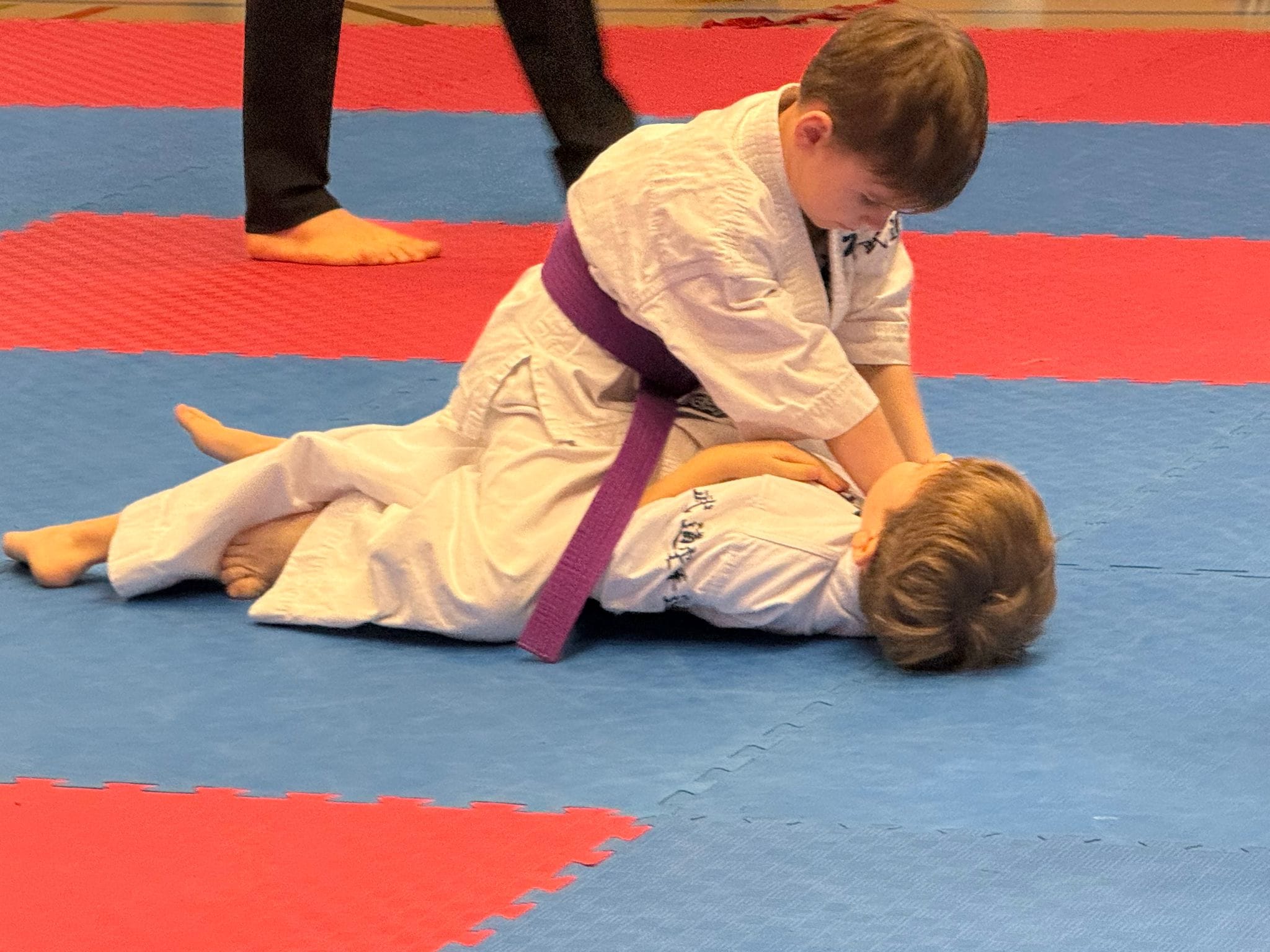 Zendokai Karate-Do Championship: "Pride" and "Hara" Clubs — Standing Wrestling Division 2026
